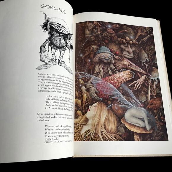 Vintage Faeries Book Hardcover 1978 Graphic Art Brian Froud No Dust Jacket READ - Picture 7 of 16